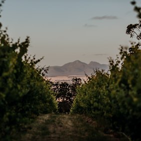 Stirling Range national park, where Parker’s car was last seen.