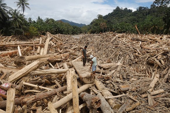 Men stand on logs swept away by flash flood in Batang Toru, North Sumatra, Indonesia.