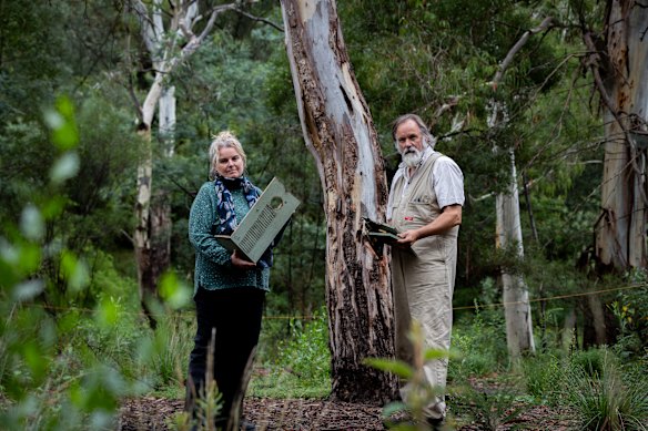 Annette Salkeld, executive officer at the Darebin Creek Management Committee,  and ranger Peter Wiltshire with a vandalised wildlife box.