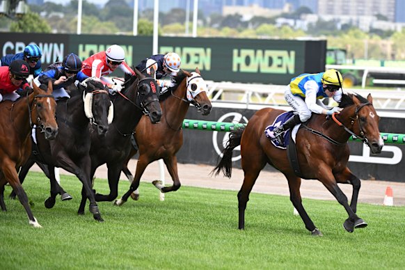 Welcometotheshow wins at Flemington on January 10.
