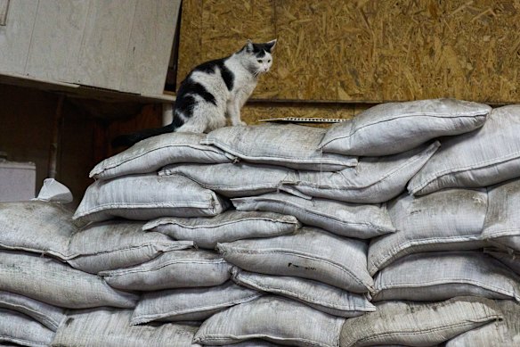 Sandbags protecting a control panel at a damaged power plant, following Russia’s recent missile and drone attacks in an undisclosed location in Ukraine on Thursday.