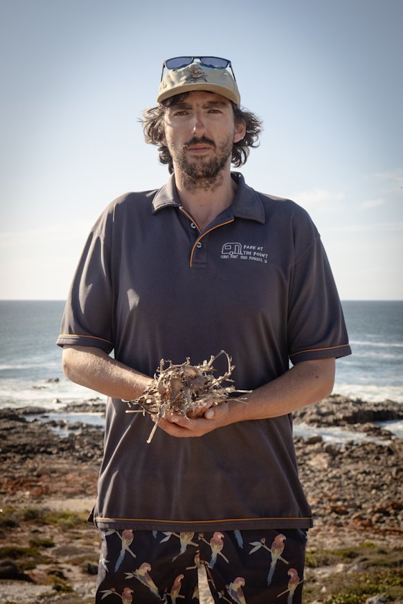 Corny Point local Lochie Cameron, with leafy and weedy sea dragons found washed up on the beach.