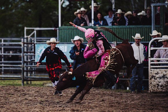 Bella mid-ride at the Woodford Rodeo.