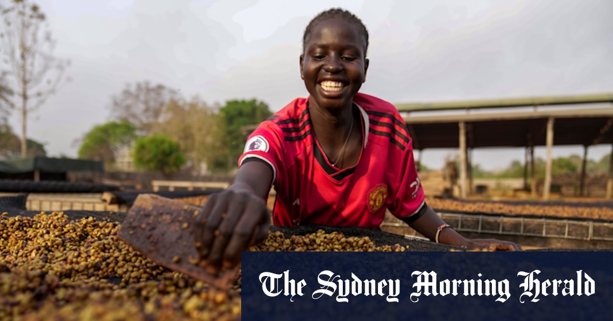 Bizarre beans and flavours that ‘jump out’: climate change hits coffee