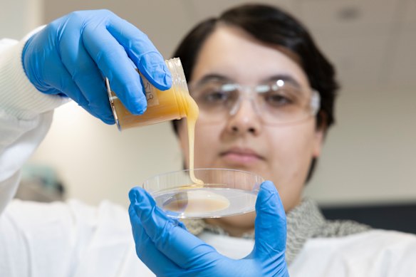 Microbiologist Dr Kenya Fernandes has turned to honey to address the critical global health crisis of antimicrobial resistance.