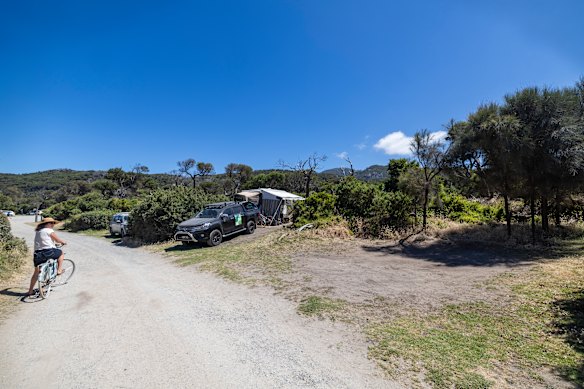 A vacant lot at the Tidal River campground, which is busier than last year, but some believe could be fuller.