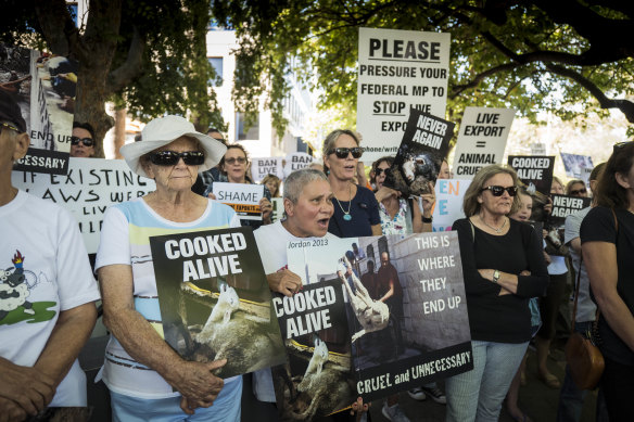 Protests in Perth against Western Australia’s live sheep export industry.