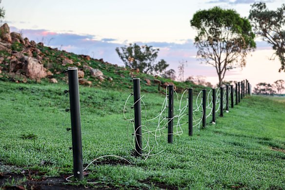Green shoots have returned to Lindsay Park but fire-damaged fencing still needs to be repaired.