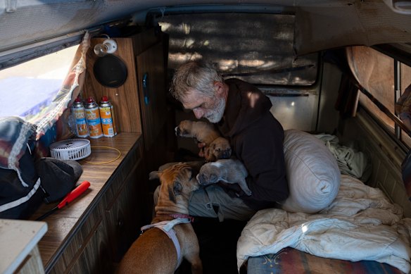 John Bryce has been living at Wilks Park for over a year, but said social housing won’t cater to his four dogs and their puppies, who are family.