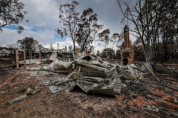 More than 50 homes were lost in the fires in Harcourt and the surrounding area.