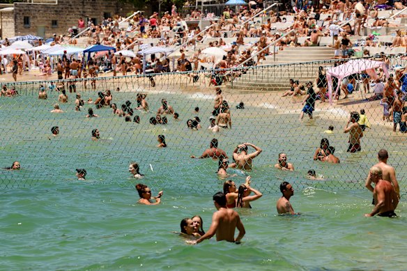 Swimmers enjoy a summer day at Shark Beach, Nielsen Park. The beach has a large netted area.