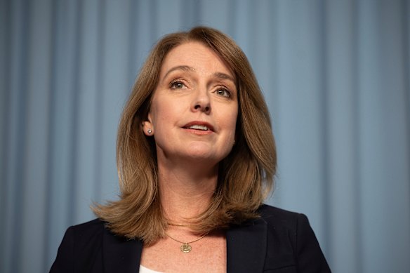 Member for Vaucluse Kellie Sloane, 52, is poised to take the leadership of NSW Liberals.