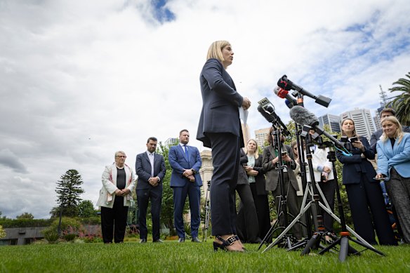 Upper house leader Bev McArthur, deputy upper house leader Evan Mulholland, and Deputy Liberal Leader Sam Groth watch on as Jess Wilson delivers her first press conference as opposition leader.
