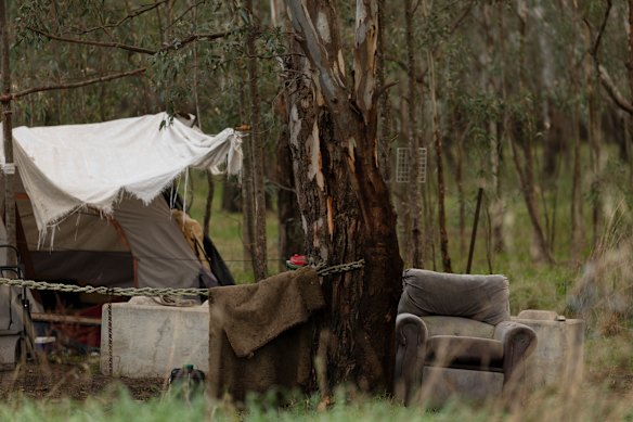Nearly two dozen people have set up semi-permanent residence in Wilks Park.
