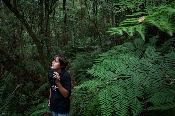 Coen Pearson is an avid bird watcher and interested in conservation.