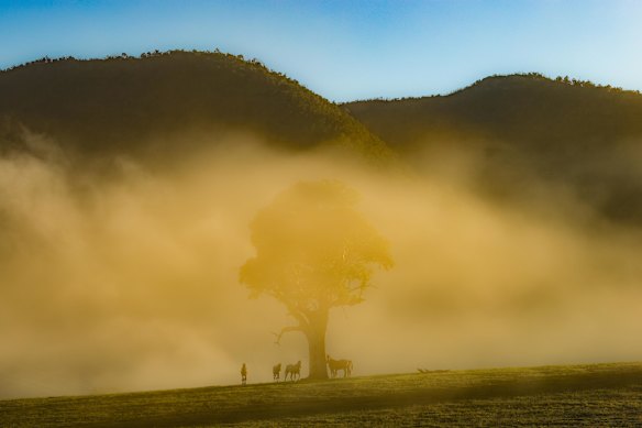 Sunrise on the morning of a stand-off at a property near Thologolong where accused Police killer Desmond Freeman was shot dead.