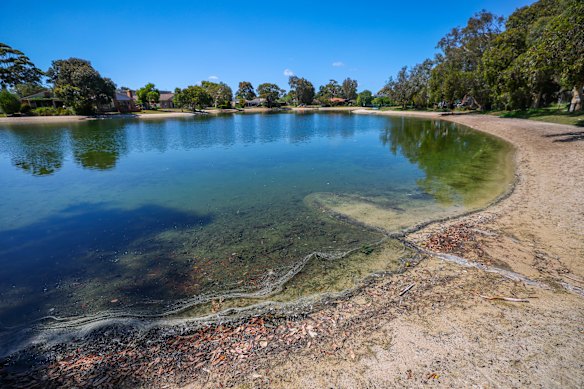 Melbourne Water has cut the volume of groundwater pumped through the lakes annually from 730 megalitres to 20 megalitres.