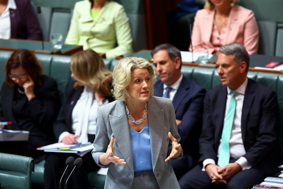 Housing Minister Clare O’Neil in question time this week.