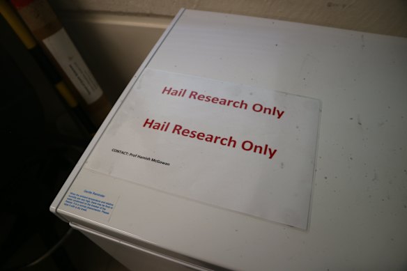 Hailstones are stored and recorded at the University of Queensland.