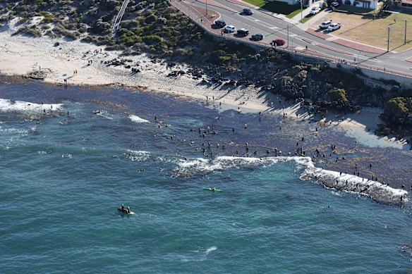 Abalone fishing at North Beach off the coast of Perth.