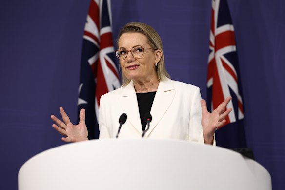 Opposition Leader Sussan Ley at a press conference last week.