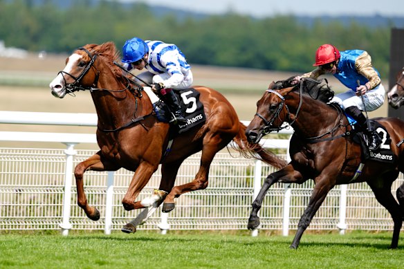  Seagulls Eleven is prepared at Michael Owen’s stables and owned by several Brighton players.