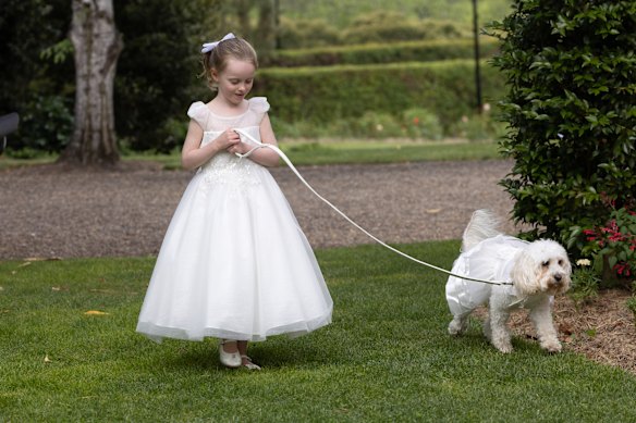 Flower girl Ella, Haydon’s niece, and ringbearer Toto, Albanese’s dog.