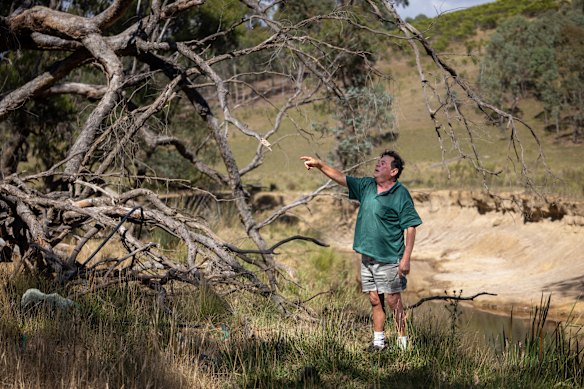 Jimmy at the farm last week.  