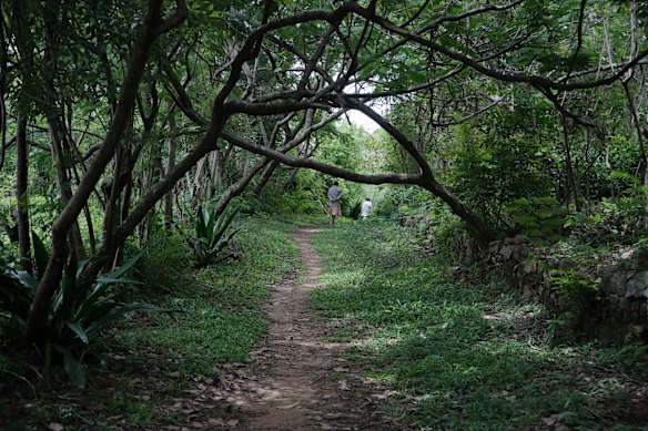 The Pekoe Trail, Sri Lanka.