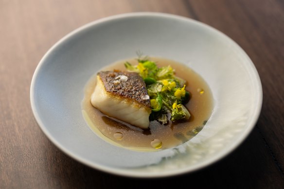Murray cod with chickpea miso. 