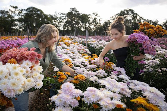 Ingrid (left) doesn’t need flowers on Mother’s Day as she is surrounded by them.