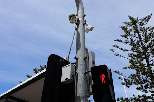 Thermal cameras, AI and real-time traffic management software have helped prevent dangerous crossings.