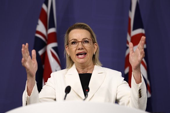 Opposition Leader Sussan Ley speaking at a press conference in Sydney on Wednesday. 