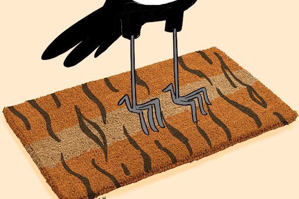 The Balmain Tigers and the Western Suburbs Magpies are creatures hardly known for living in harmony in the wild. 