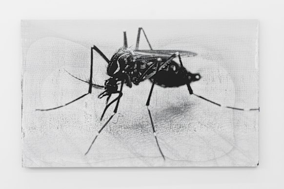 Marco Fusinato’s Desastres, 2024.