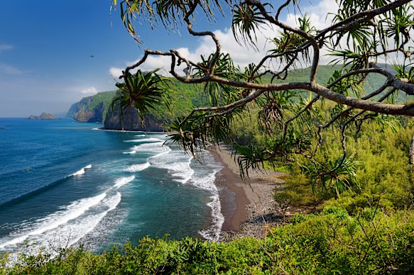 Pololu Valley Lookout on the Big Island of Hawaii.
