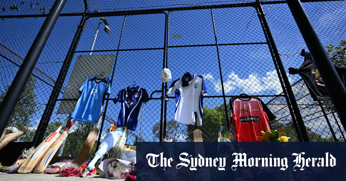 Spotlight turns to cricket training aids as coaches call for better guidelines for wangers, sidearms after death of Ben Austin
