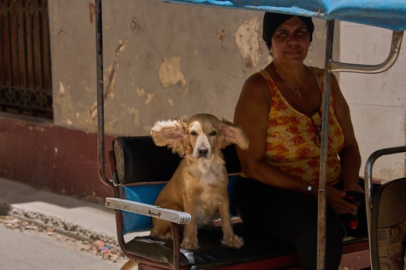 A dog passes by on a bicycle taxi sitting next to its caretaker during a blackout in Havana, Cuba.