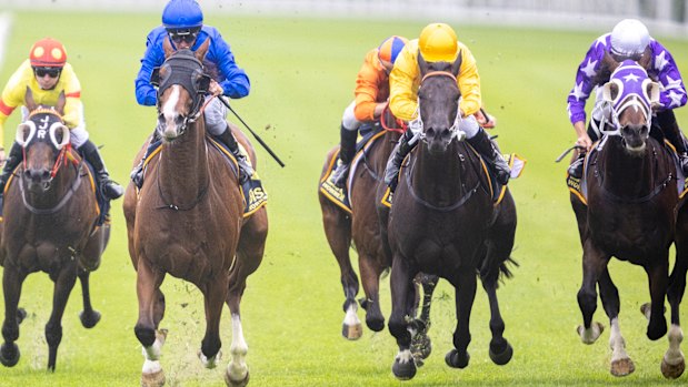 Racing heads to Port Macquarie on Thursday.