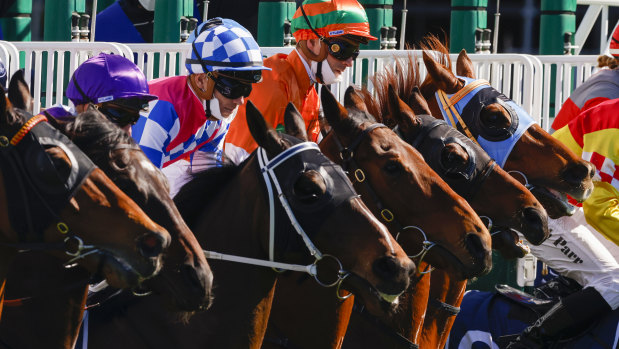 The Sapphire Coast will stage a seven-race card on Monday.