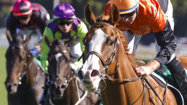 Racing returns to Port Macquarie on Monday with a seven-race card.