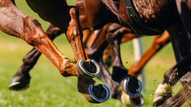 Racing heads to Goulburn on Thursday for a seven-race program.