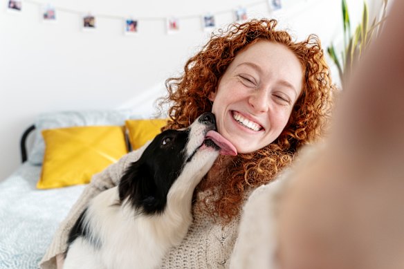 A lick from a dog can expose teenagers to bacteria which then alters their microbiome. Those in the study were found to have better mental health.