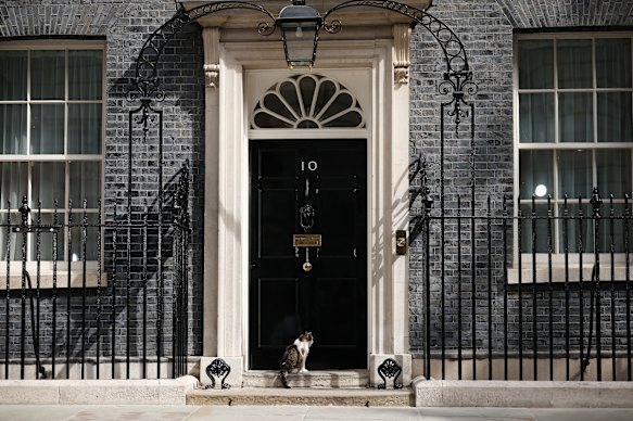 Larry the cat, “Chief Mouser to the Cabinet Office”, waits outside No. 10 Downing Street for his seventh prime minister.