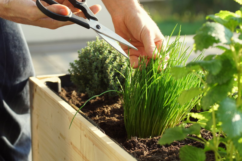 Herb gardens will make a comeback in 2022, landscape and garden design experts say.