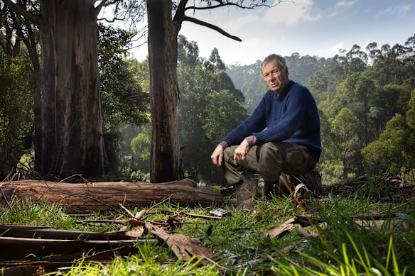 Richard Leppitt holds fears about the illegal hunting of feral deer on his Strezlecki property after he found camera traps placed without his knowledge or consent. But he also wants deer controlled in the area