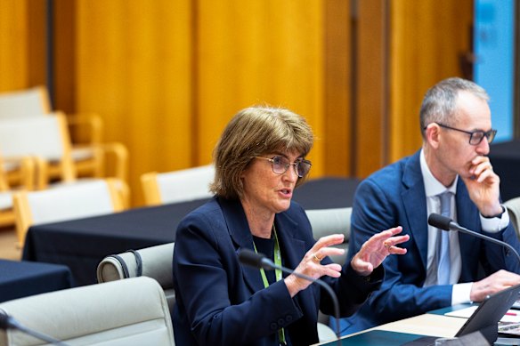RBA governor Michele Bullock said it was not monetary policy’s responsibility to look after housing prices.