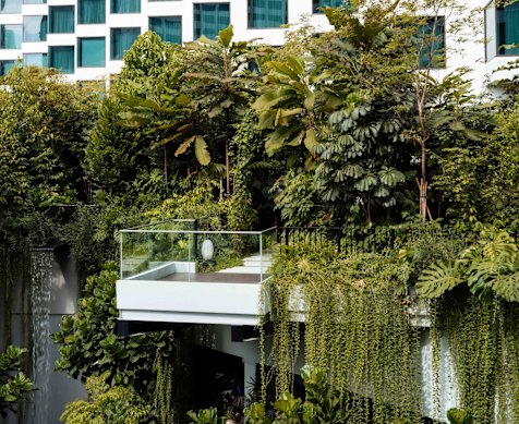 The Grand Hyatt… green transformation.