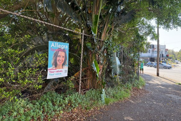 A photograph of the Allegra Spender poster in Rose Bay, timestamped 9.45am on Sunday March 2.