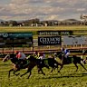 Seven races are down for Sunday at Muswellbrook.